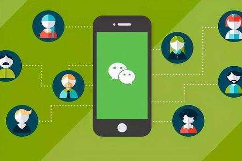 小程序最新爆料看点软件,看点软件功能大升级,用户体验再升级!